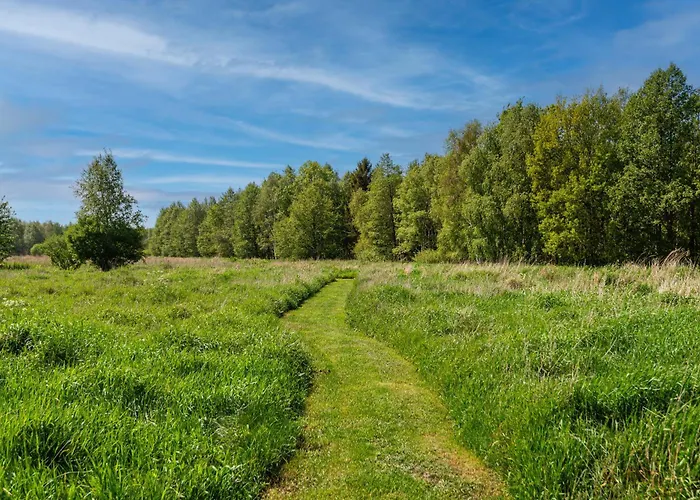 Kuti Apartamentai Daire *